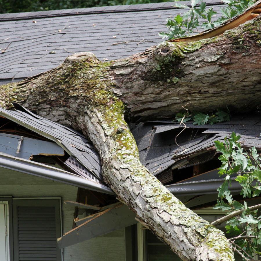insurance claims assistance rockford il